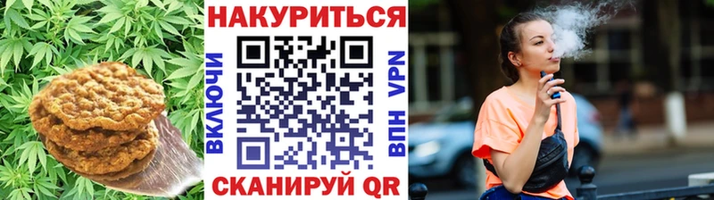 закладка  Амурск  Canna-Cookies конопля 