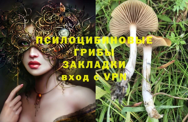 соль курить ск Алзамай