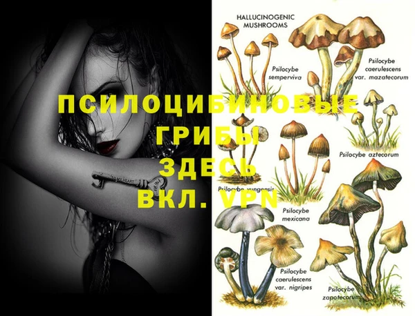 бутират Алексеевка