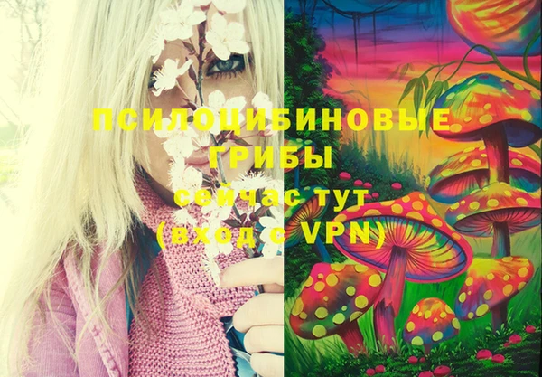 бутират Алексеевка